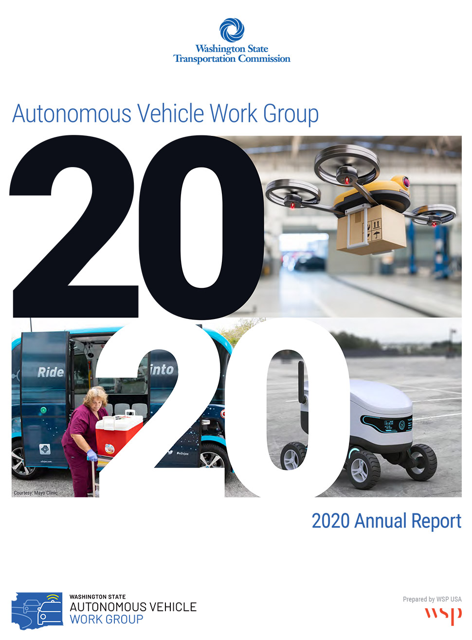 2020 annual report cover